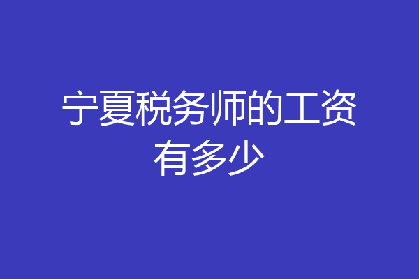 宁夏税务师的工资有多少
