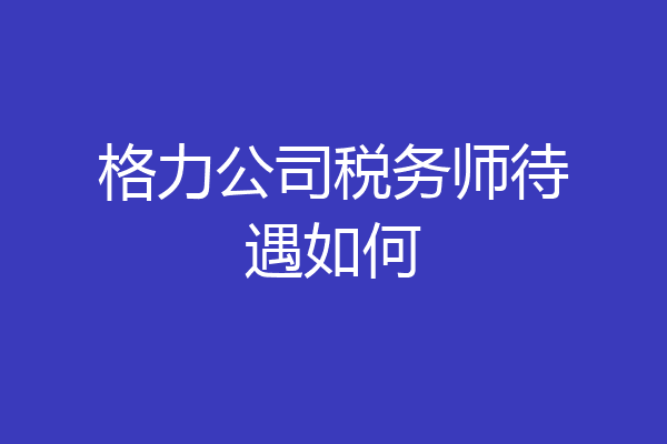 格力公司税务师待遇如何