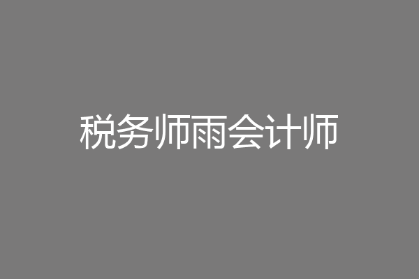 税务师雨会计师