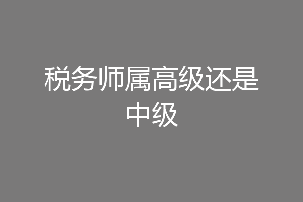 税务师属高级还是中级