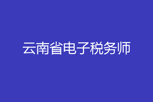 云南省电子税务师