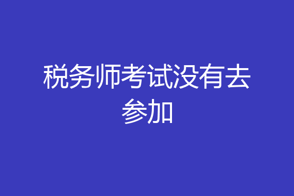 税务师考试没有去参加
