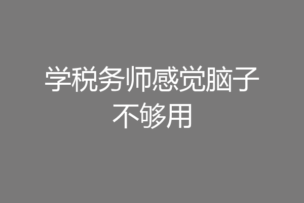 学税务师感觉脑子不够用