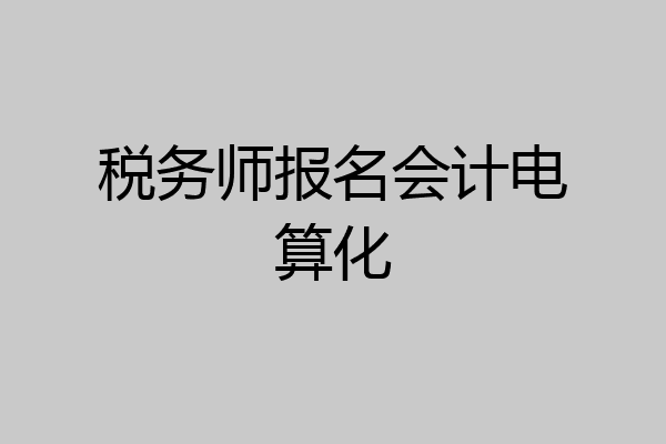 税务师报名会计电算化
