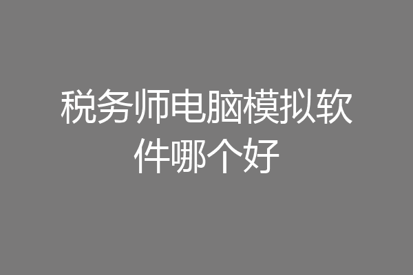 税务师电脑模拟软件哪个好
