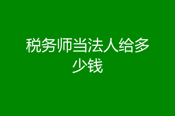 税务师当法人给多少钱