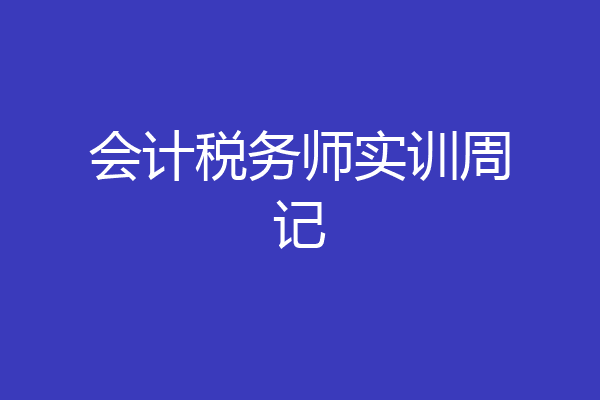会计税务师实训周记