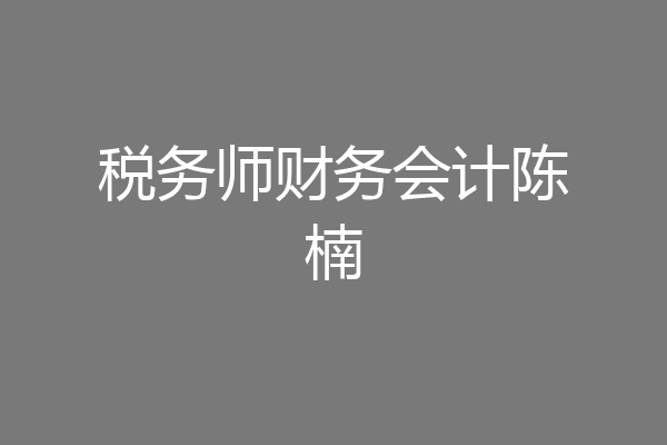 税务师财务会计陈楠