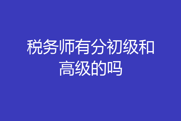 税务师有分初级和高级的吗