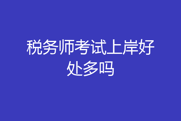 税务师考试上岸好处多吗