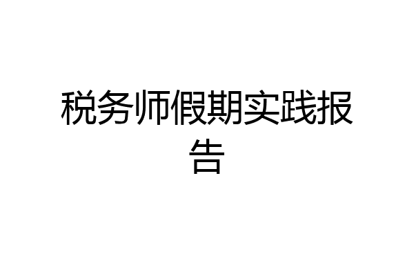 税务师假期实践报告