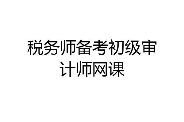 税务师备考初级审计师网课