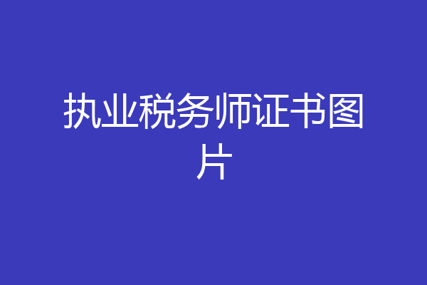 执业税务师证书图片