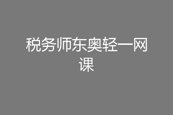 税务师东奥轻一网课