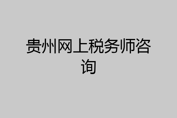 贵州网上税务师咨询