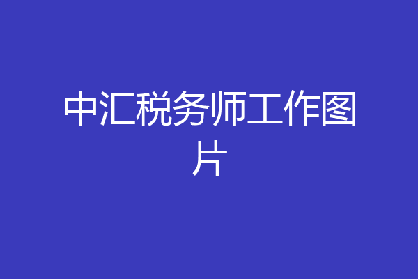 中汇税务师工作图片