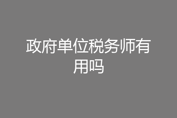 政府单位税务师有用吗