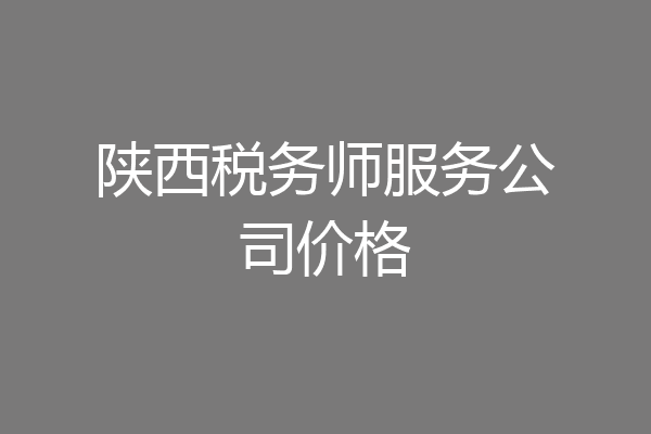 陕西税务师服务公司价格