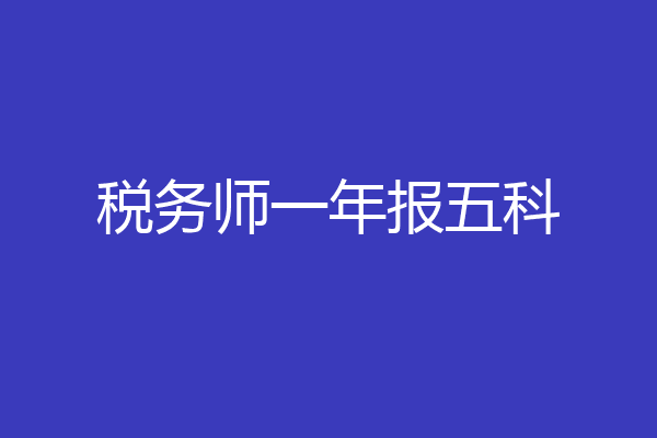 税务师一年报五科