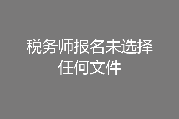税务师报名未选择任何文件