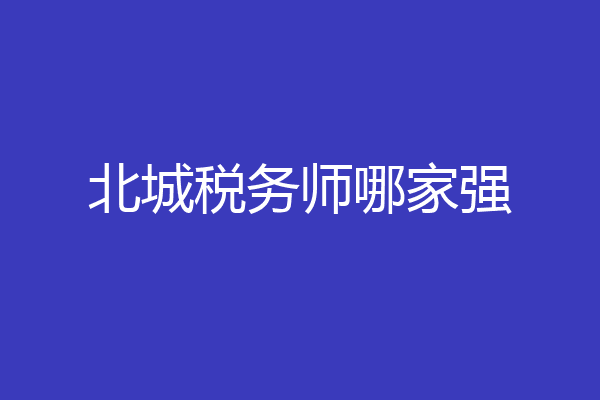北城税务师哪家强