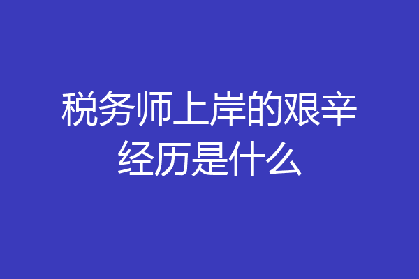 税务师上岸的艰辛经历是什么