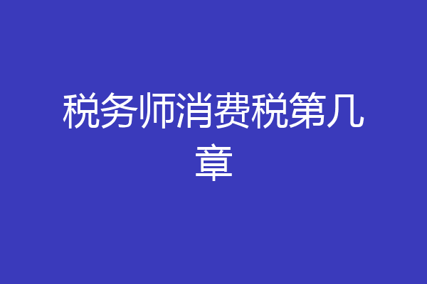 税务师消费税第几章