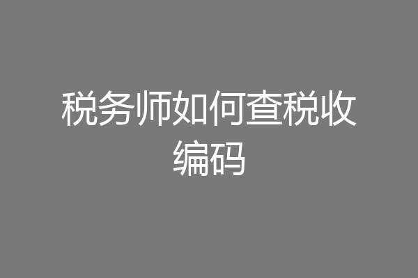 税务师如何查税收编码