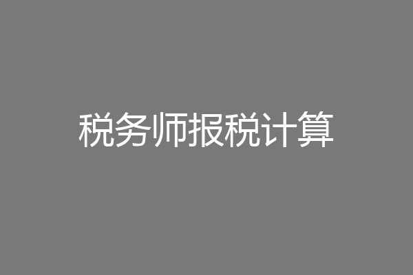 税务师报税计算