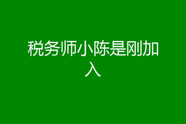 税务师小陈是刚加入