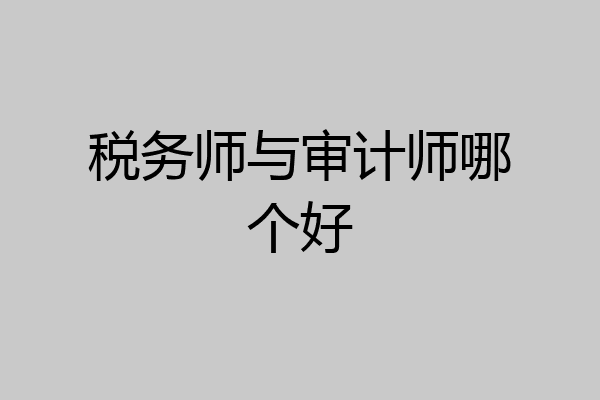 税务师与审计师哪个好
