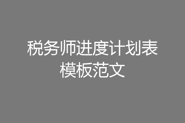 税务师进度计划表模板范文