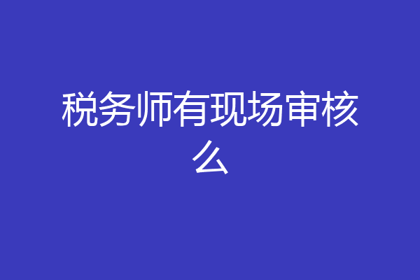 税务师有现场审核么