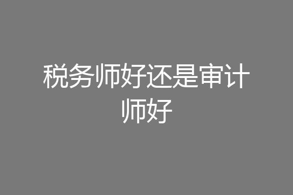 税务师好还是审计师好
