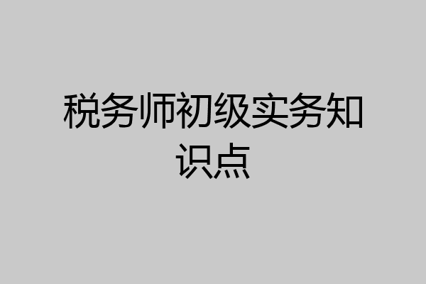 税务师初级实务知识点
