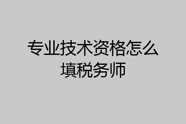 专业技术资格怎么填税务师