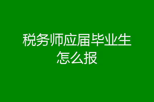 税务师应届毕业生怎么报