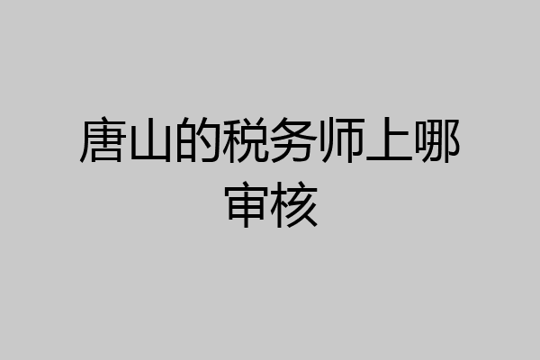 唐山的税务师上哪审核