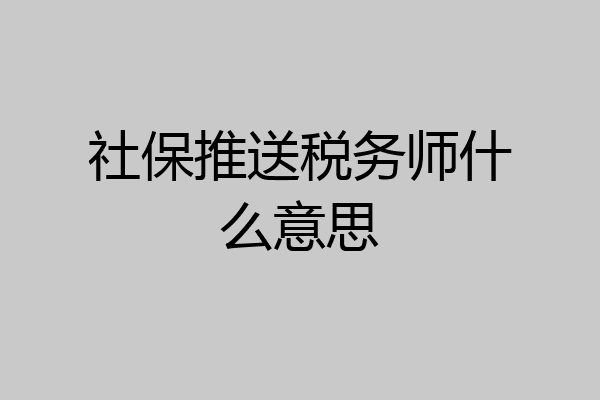 社保推送税务师什么意思