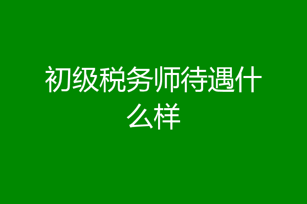 初级税务师待遇什么样