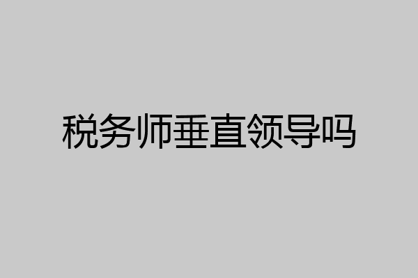 税务师垂直领导吗