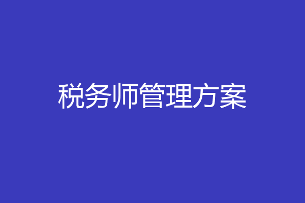 税务师管理方案