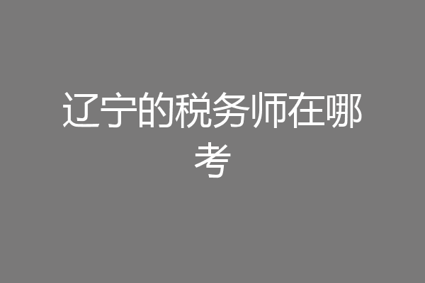 辽宁的税务师在哪考