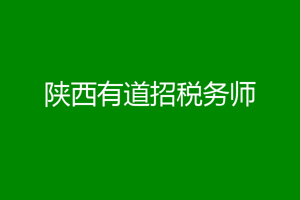 陕西有道招税务师