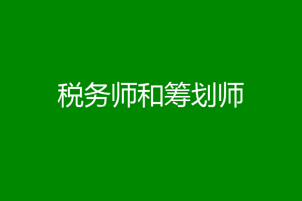 税务师和筹划师