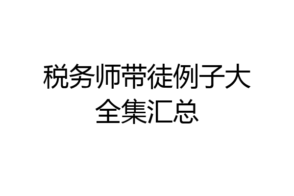 税务师带徒例子大全集汇总
