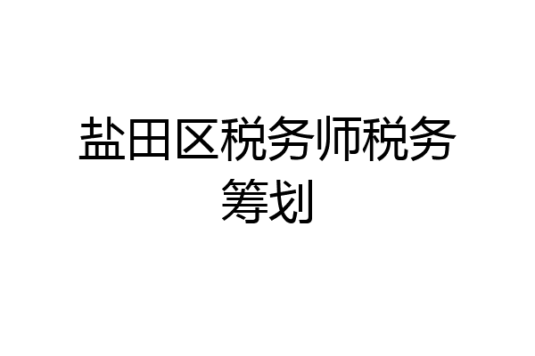 盐田区税务师税务筹划