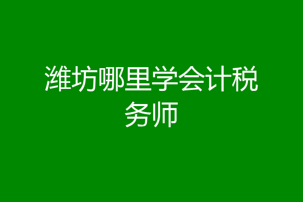 潍坊哪里学会计税务师