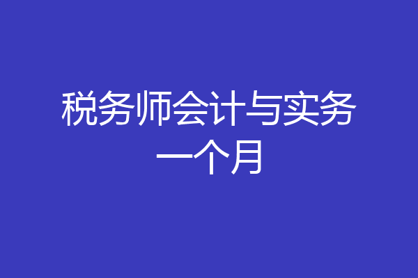 税务师会计与实务一个月