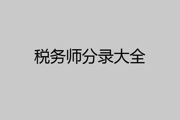 税务师分录大全